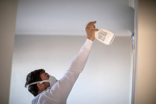 Best Mold Remediation  in Bryant, AR
