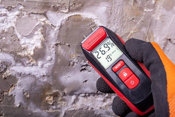 Best Affordable Mold Removal  in Bryant, AR